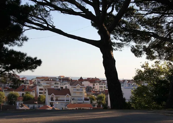 Le Charme Des Dunes Διαμέρισμα